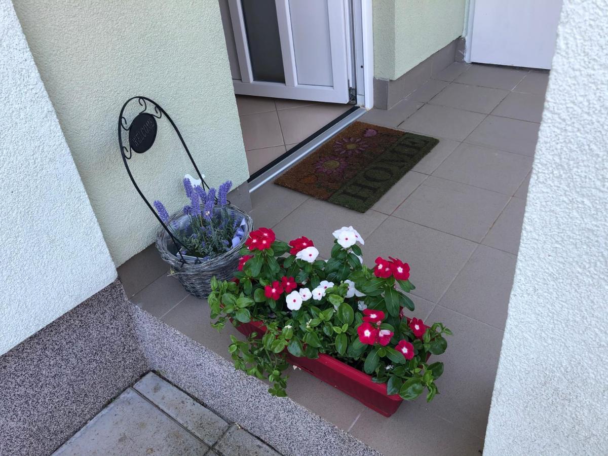 Apartman Igor Cizici Luaran gambar